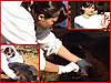 Click image for larger version

Name:64438257.jpg             
Views:93     
Size:30.6 KB    
ID:19991