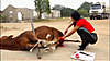 Click image for larger version

Name:Q_8Td-6Dz3o.jpg             
Views:196     
Size:33.7 KB    
ID:22662