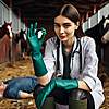 Click image for larger version

Name:elastrator2.jpg             
Views:43     
Size:131.4 KB    
ID:22954