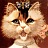 Lizzycat's Avatar